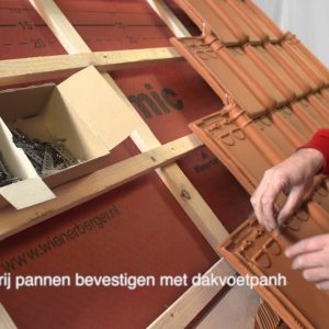 Referentiefoto Twintikker panhaak