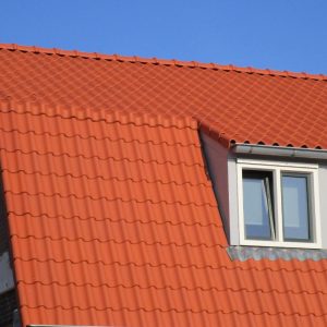 OVH Vario natuurrood+